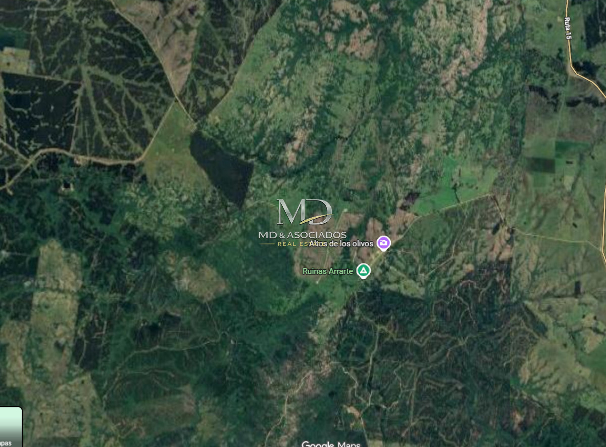 Campo Forestal en Rocha REF:9575 - IMD9575P