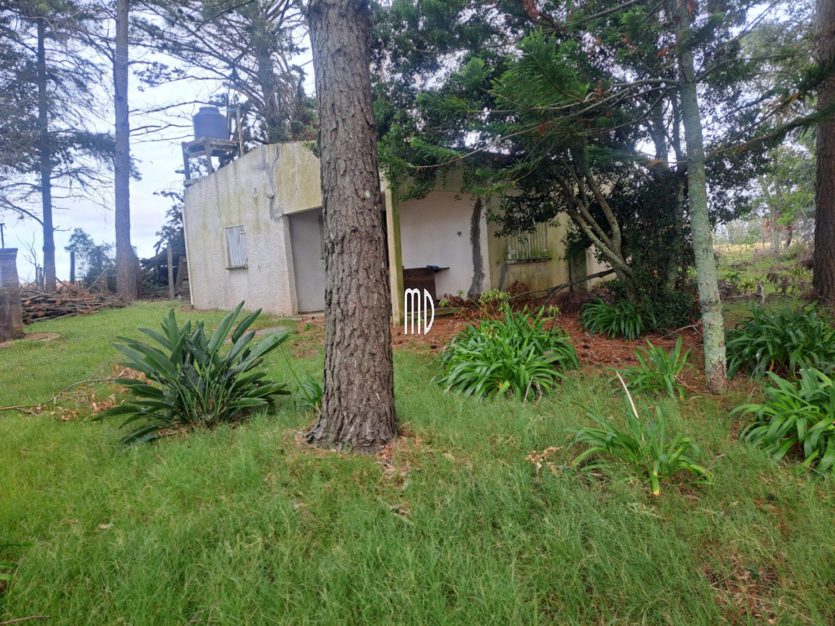 Campo Ref.9371 - Campo en , 