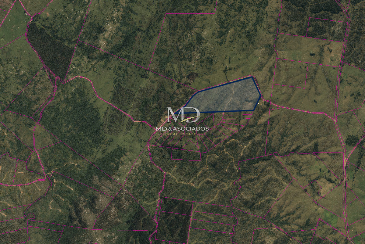 Campo Ref.9575 - Campo Forestal en Rocha REF:9575