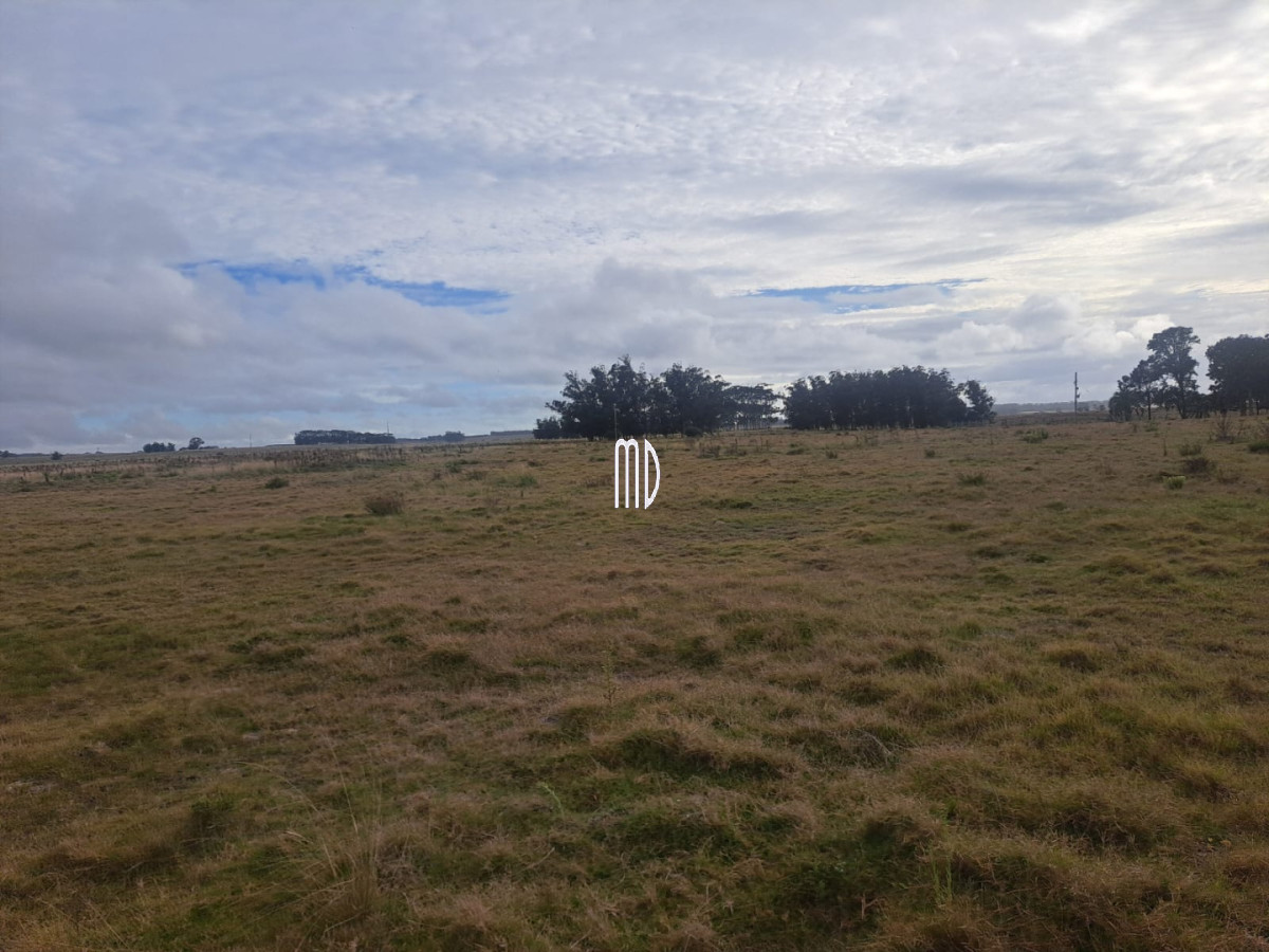 Campo Ref.9371 - Campo en , 
