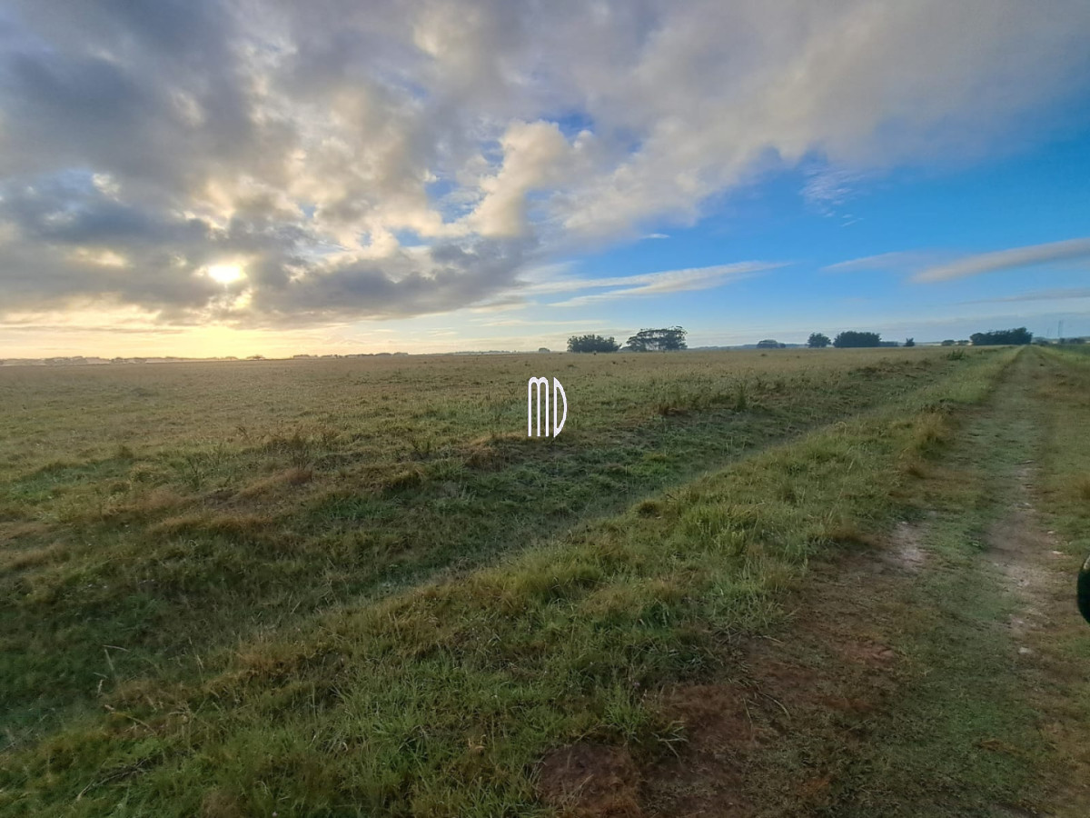 Campo Ref.9371 - Campo en , 