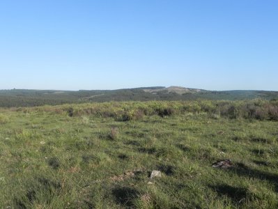 Oportunidad campo a 15 kmts de Rocha