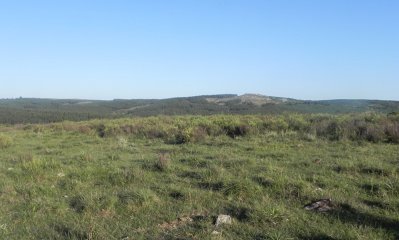 Oportunidad campo a 15 kmts de Rocha