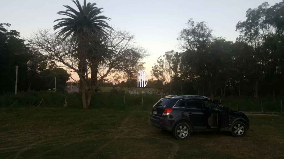 Terreno ID.5767 - Terreno en Punta Ballena, Camino Lussich