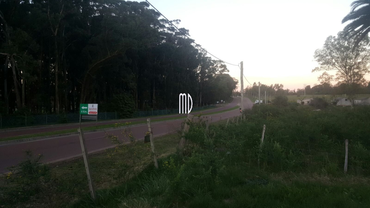 Terreno ID.5767 - Terreno en Punta Ballena, Camino Lussich