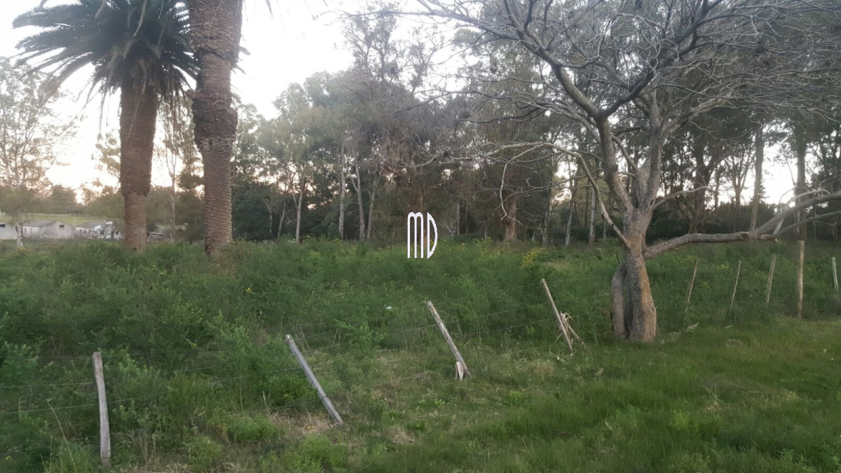 Terreno ID.5767 - Terreno en Punta Ballena, Camino Lussich