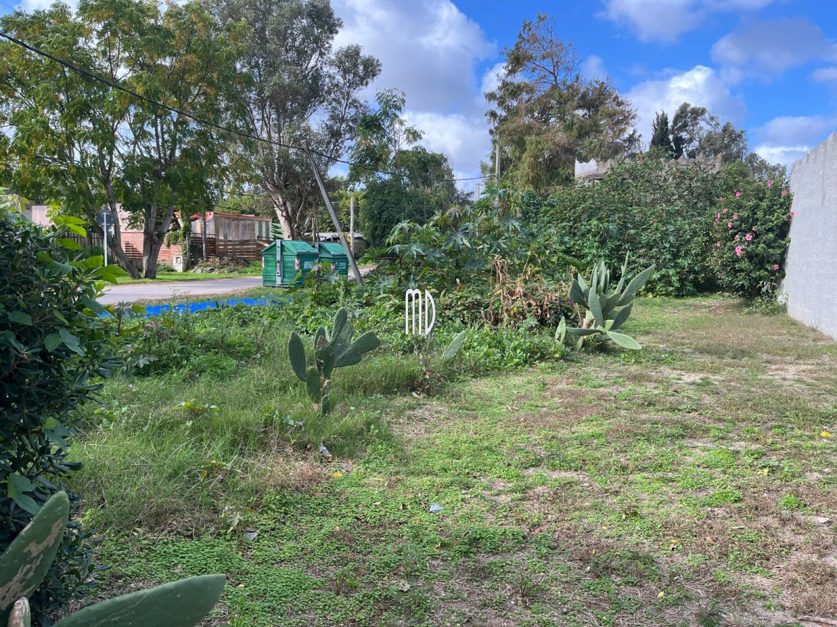 El Tesoro - GoPunta - Portal Inmobiliario de Punta del Este - Maldonado