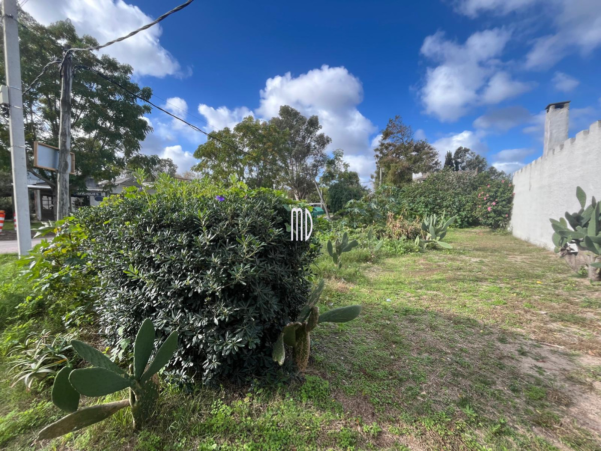 El Tesoro - GoPunta - Portal Inmobiliario de Punta del Este - Maldonado
