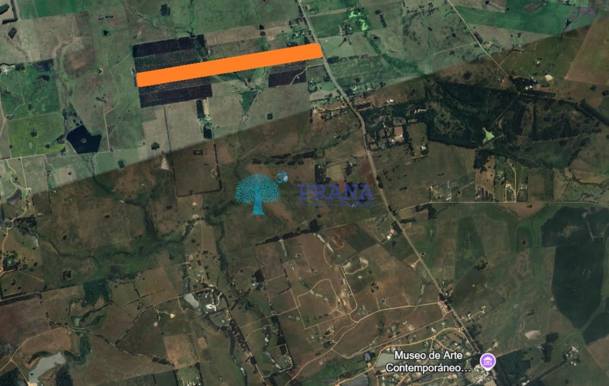 Campo en ,  - PRN1422P