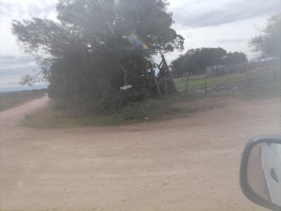 Campo en venta de 86 hectareas, forestado - Ref : EQP6502