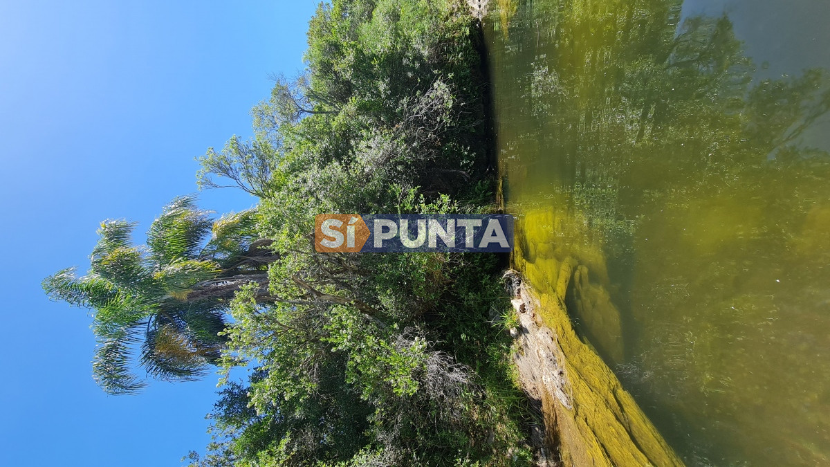 Chacra ID.9682 - Campo en venta - Pueblo Edén