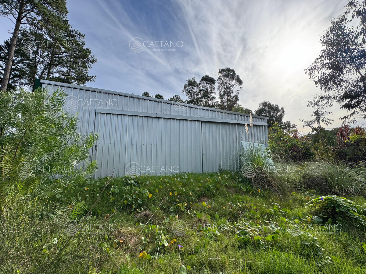 Chacras del Pinar - GoPunta - Portal Inmobiliario de Punta del Este - Maldonado