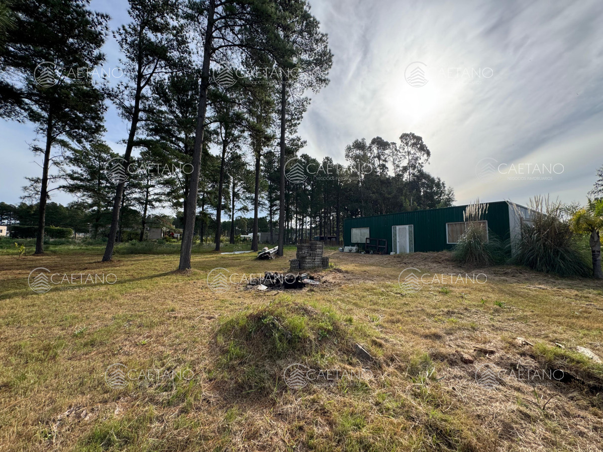 Chacras del Pinar - GoPunta - Portal Inmobiliario de Punta del Este - Maldonado
