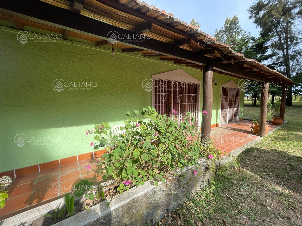 San Carlos - GoPunta - Portal Inmobiliario de Punta del Este - Maldonado