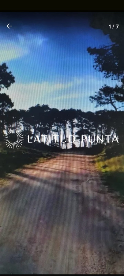 Rincón del Indio - GoPunta - Portal Inmobiliario de Punta del Este - Maldonado
