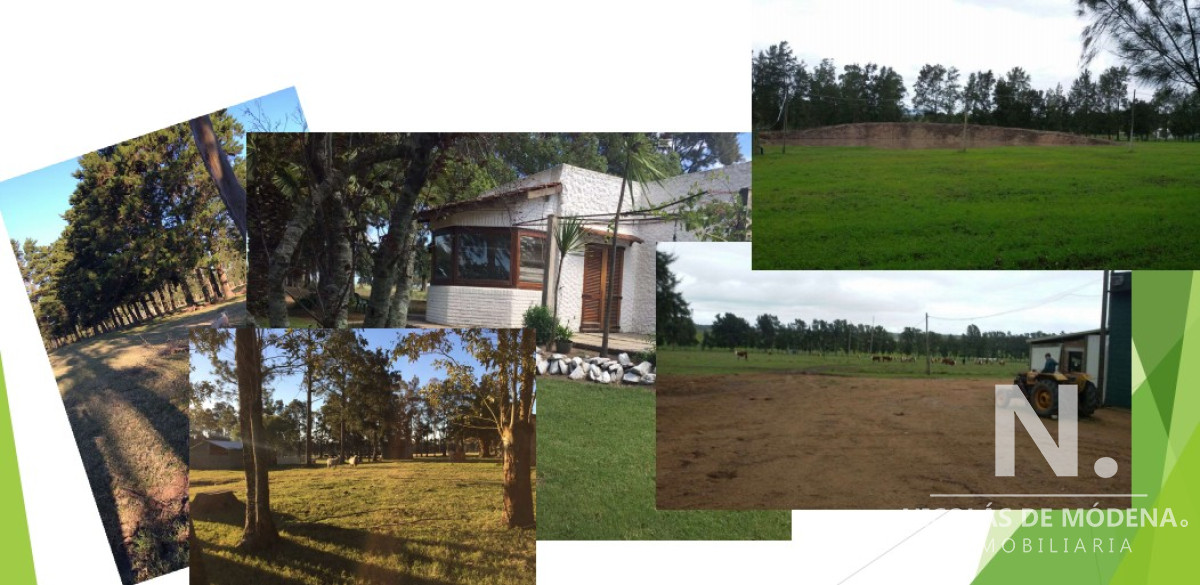 Piedras de Afilar - GoPunta - Portal Inmobiliario de Punta del Este - Maldonado