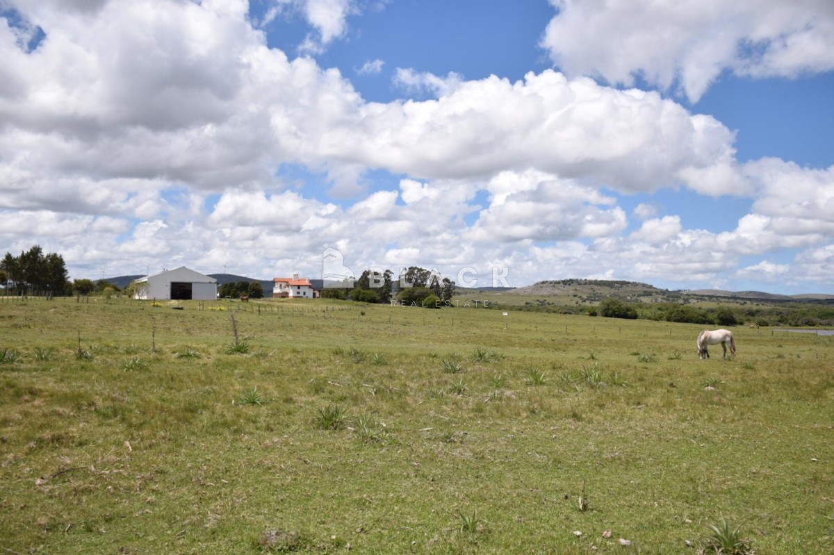 Chacra ID.180 - Espléndida chacra en Ruta 12 * 10 hectáreas