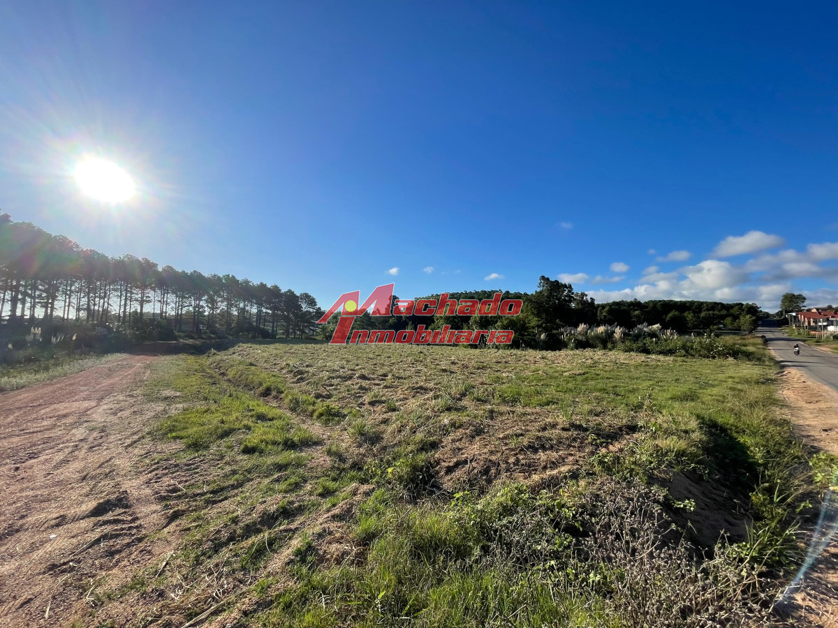 Altos de la Laguna - GoPunta - Portal Inmobiliario de Punta del Este - Maldonado
