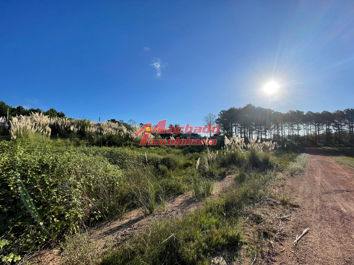 Altos de la Laguna - GoPunta - Portal Inmobiliario de Punta del Este - Maldonado