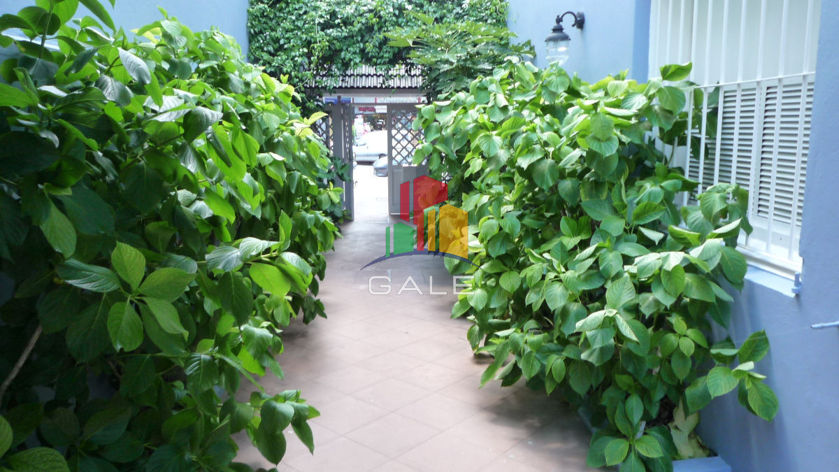 Apartamento ID.2060 - Apartamento 1 dormitorio en Centro de Punta del Este