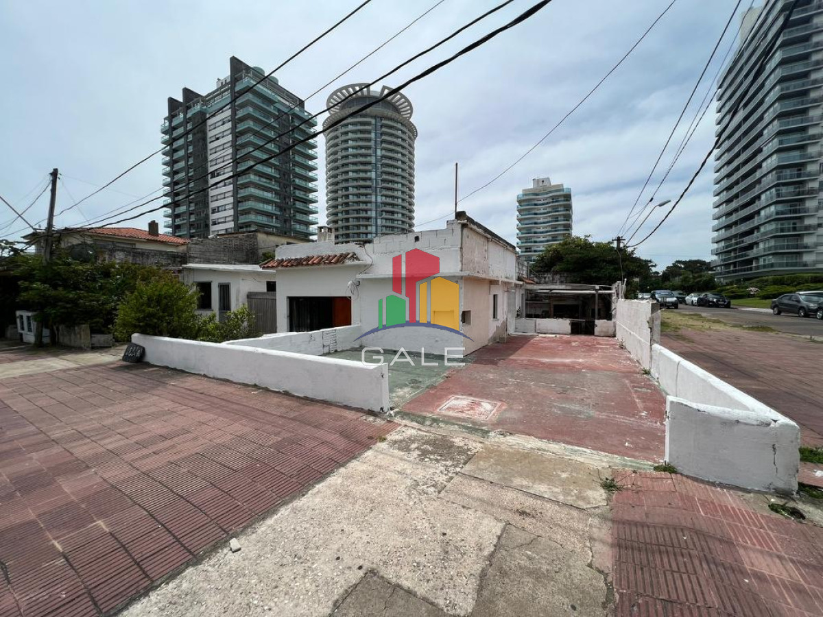 La Pastora - GoPunta - Portal Inmobiliario de Punta del Este - Maldonado