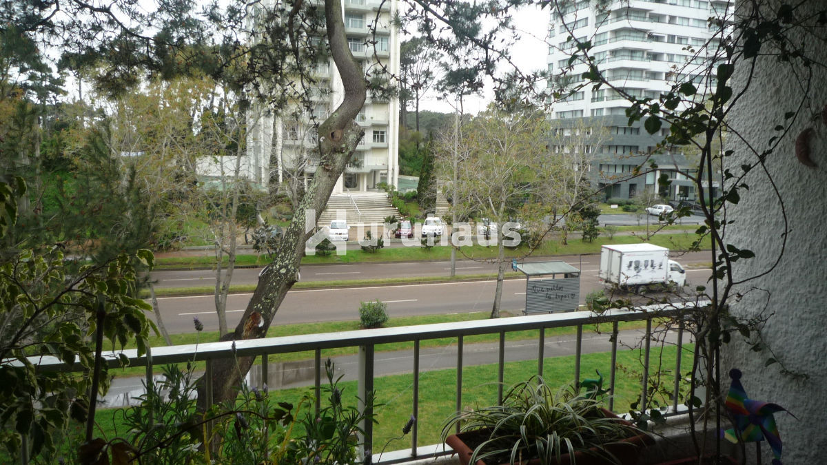 Roosevelt - GoPunta - Portal Inmobiliario de Punta del Este - Maldonado