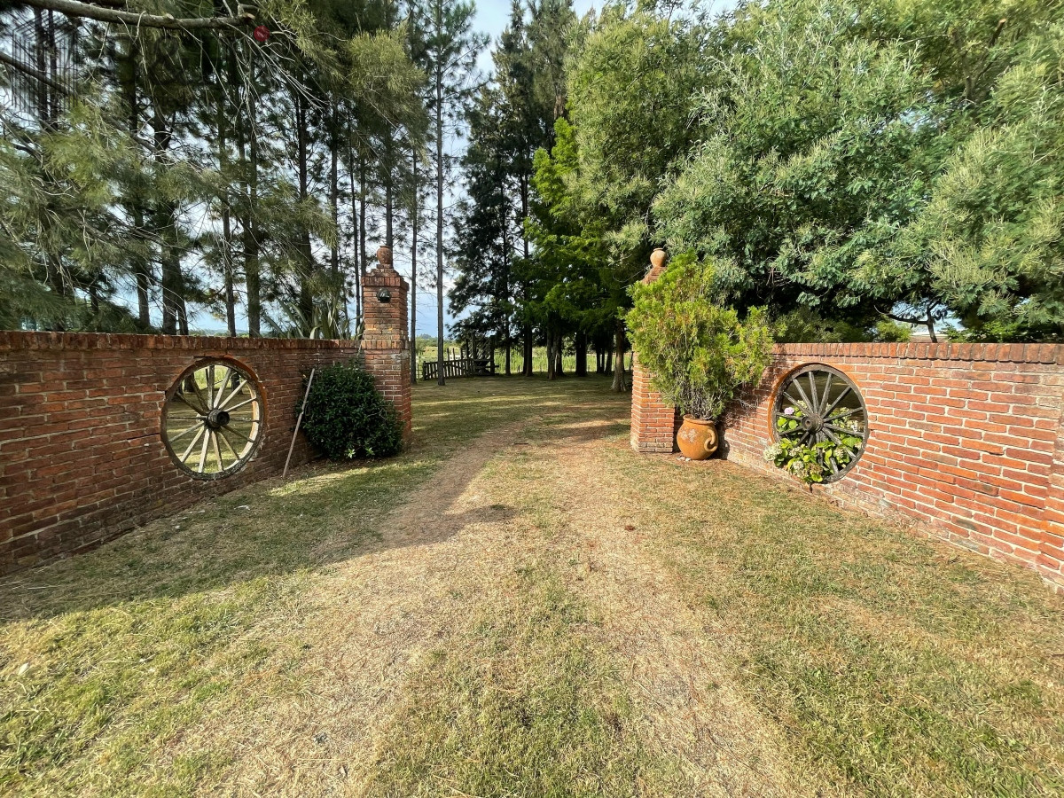 San Carlos - GoPunta - Portal Inmobiliario de Punta del Este - Maldonado
