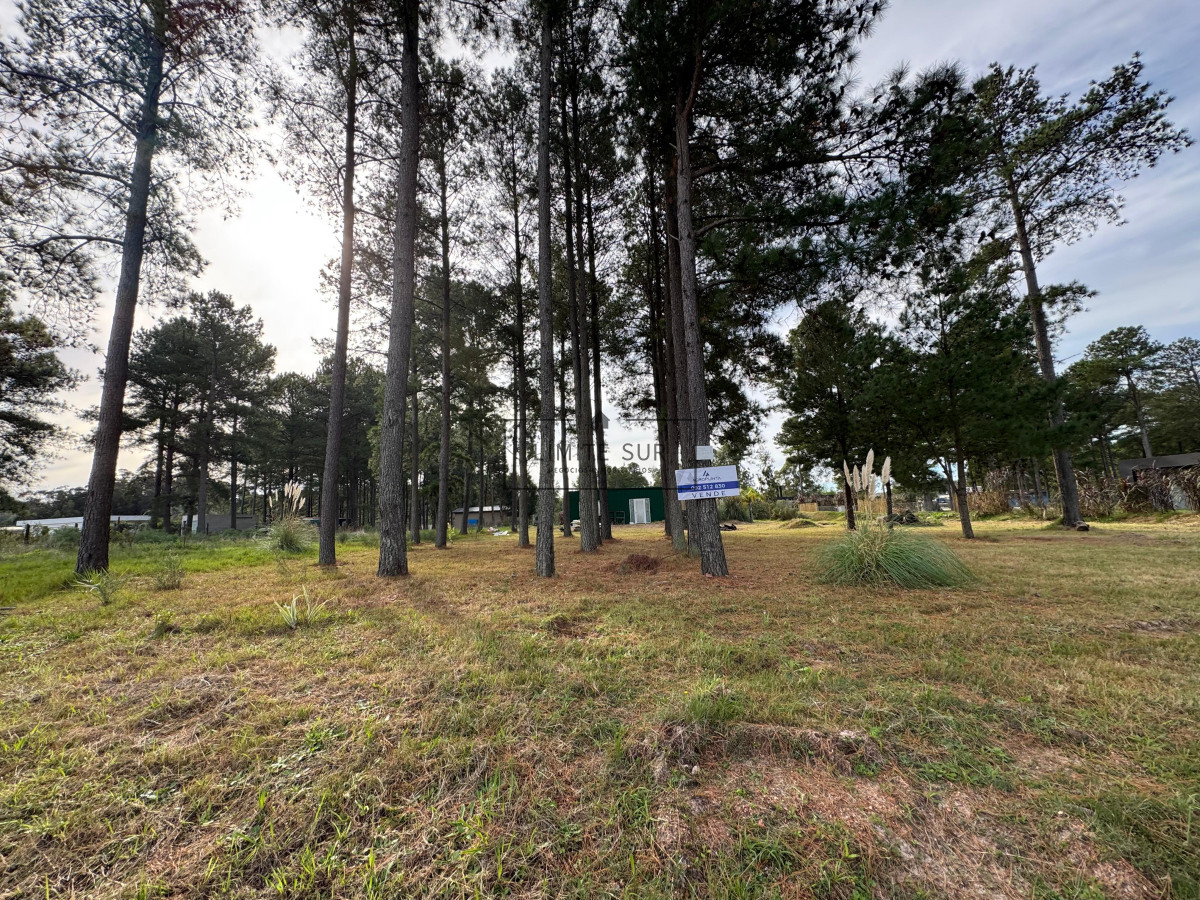 Casa ID.171 - Venta Maldonado Terreno 2000m con Construcción