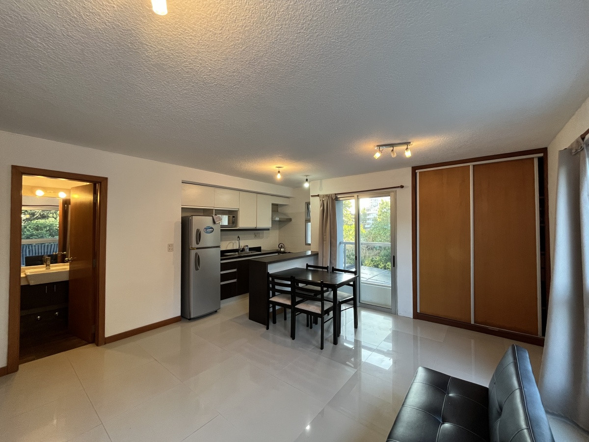 Apartamento ID.380 - Monoambiente alquiler anual, invernal y temporal