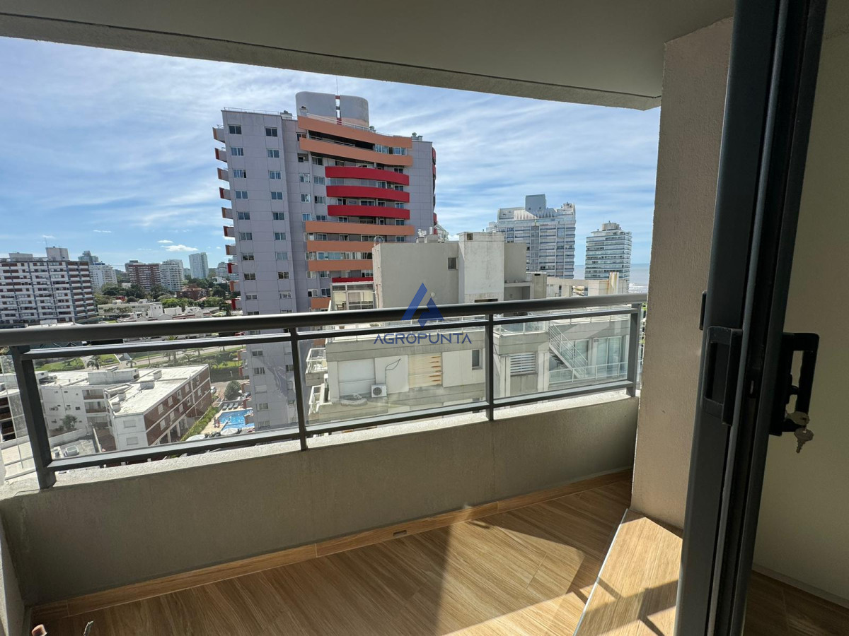 Apartamento 1 dormitorio con terraza