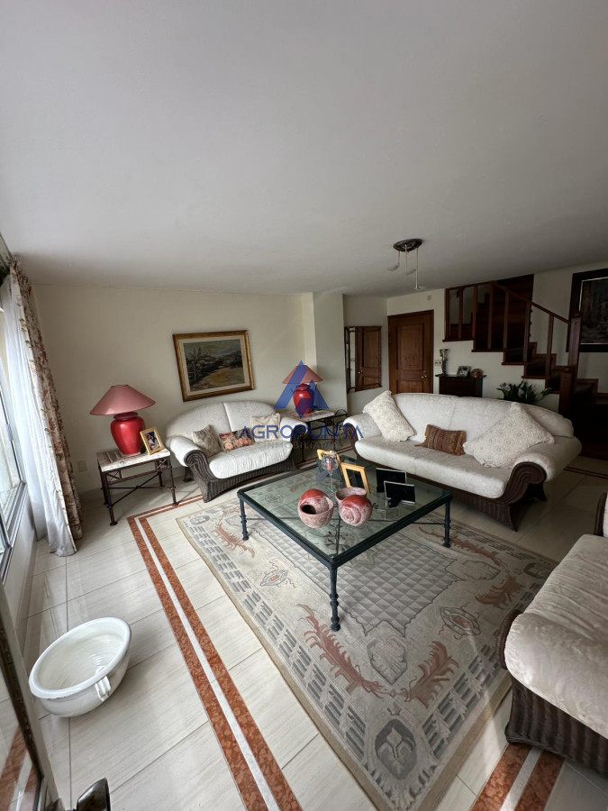 Península - GoPunta - Portal Inmobiliario de Punta del Este - Maldonado