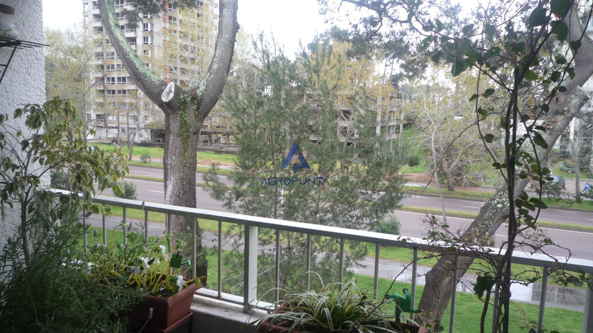 Roosevelt - GoPunta - Portal Inmobiliario de Punta del Este - Maldonado