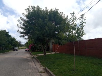 galpon en maldonado - agp6390c