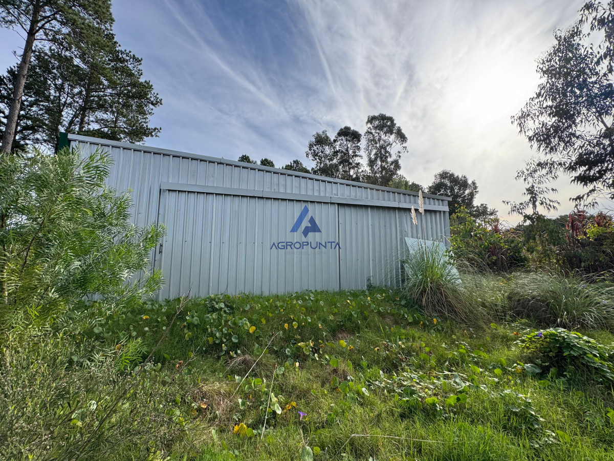 Chacras del Pinar - GoPunta - Portal Inmobiliario de Punta del Este - Maldonado