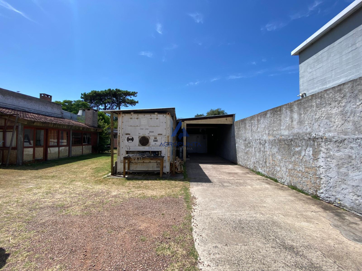 Las Delicias - GoPunta - Portal Inmobiliario de Punta del Este - Maldonado