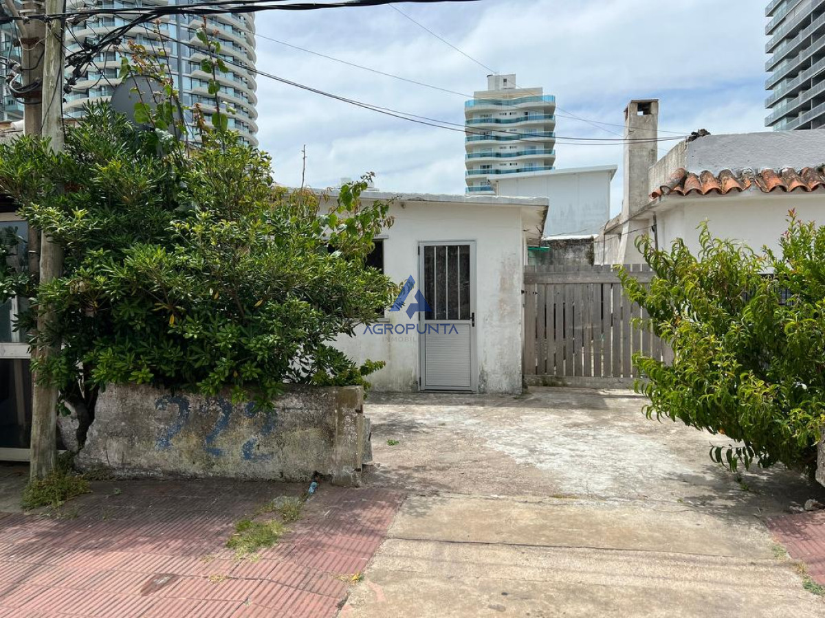 La Pastora - GoPunta - Portal Inmobiliario de Punta del Este - Maldonado