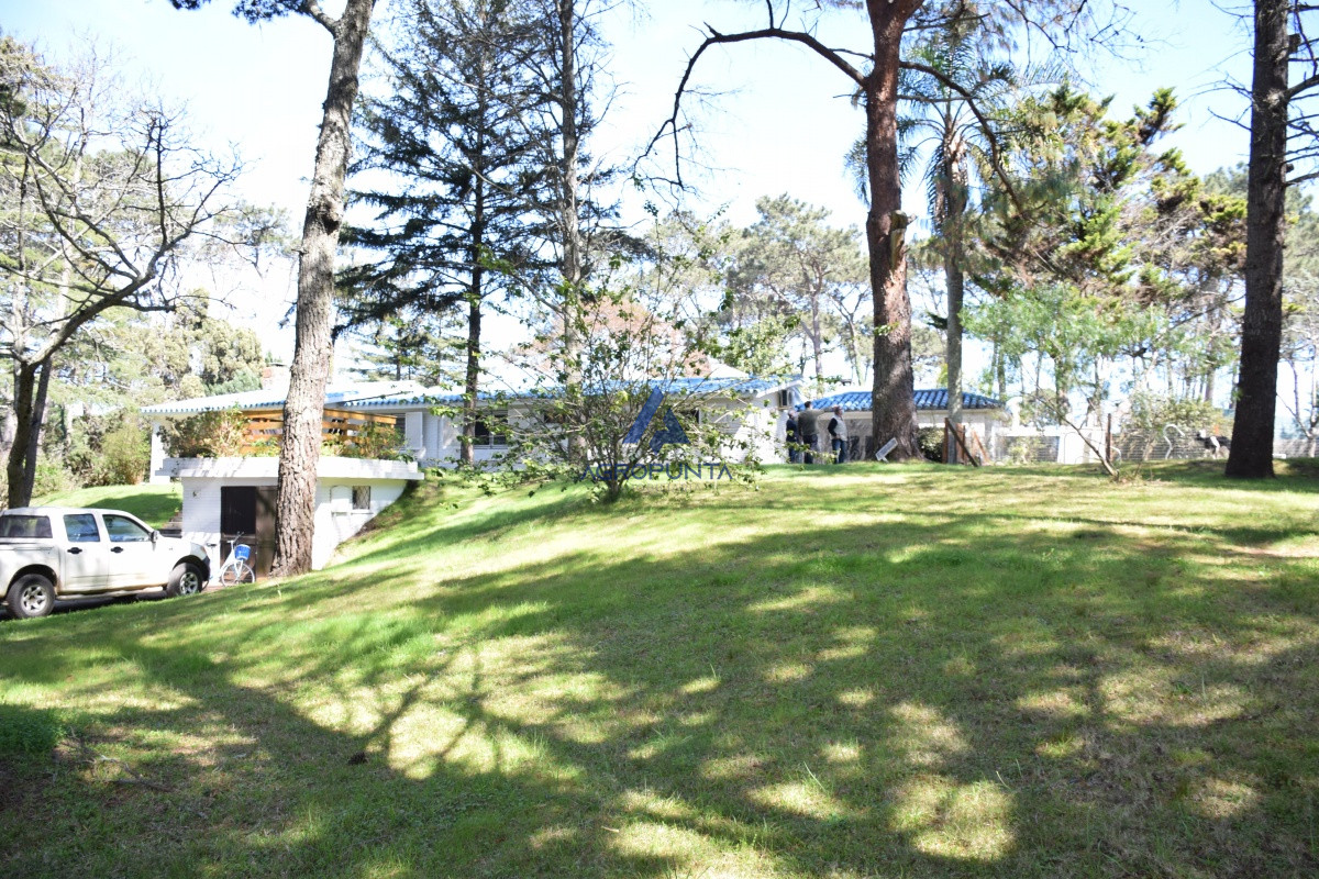Lugano - GoPunta - Portal Inmobiliario de Punta del Este - Maldonado