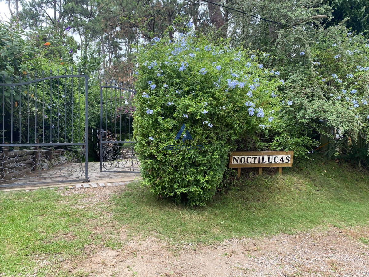 Pinares - GoPunta - Portal Inmobiliario de Punta del Este - Maldonado