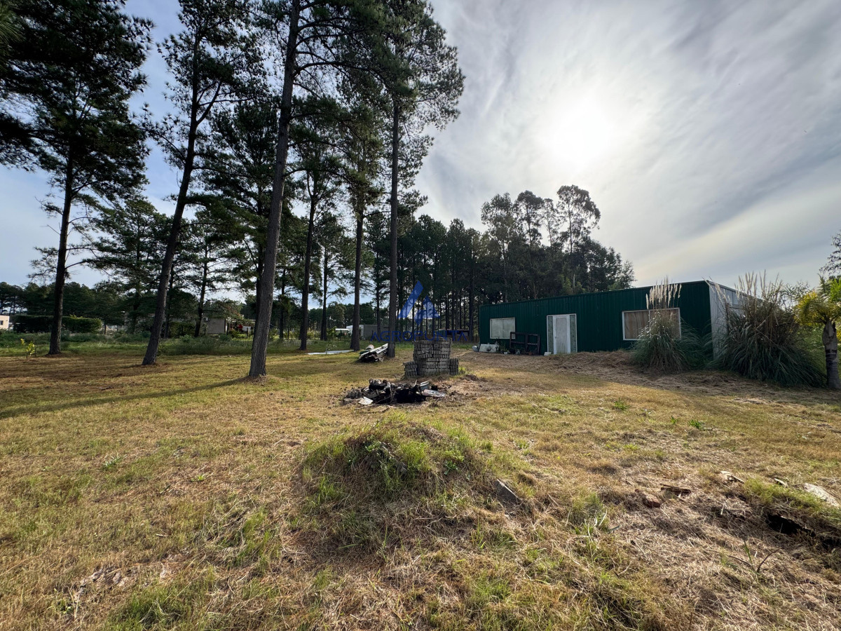 Chacras del Pinar - GoPunta - Portal Inmobiliario de Punta del Este - Maldonado