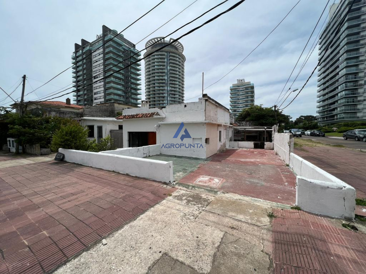 La Pastora - GoPunta - Portal Inmobiliario de Punta del Este - Maldonado