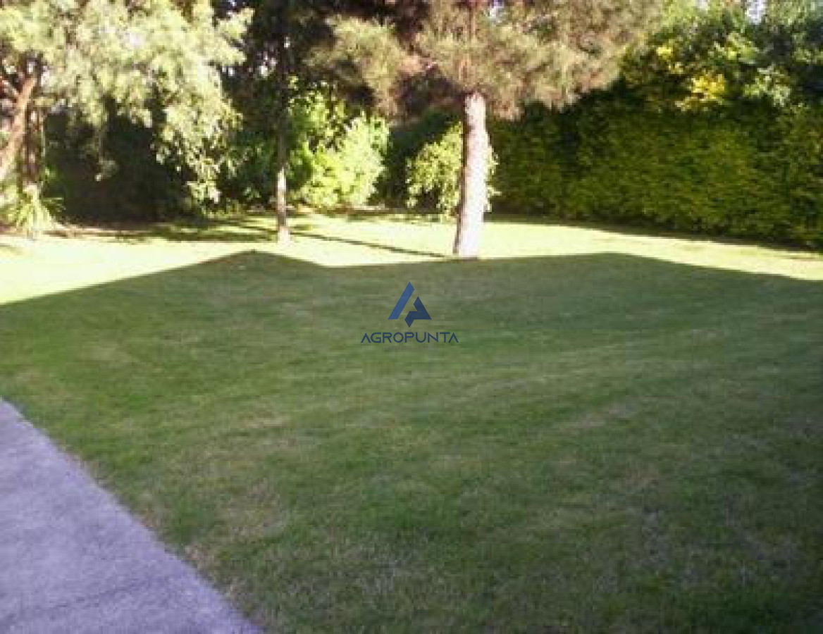 Pinares - GoPunta - Portal Inmobiliario de Punta del Este - Maldonado
