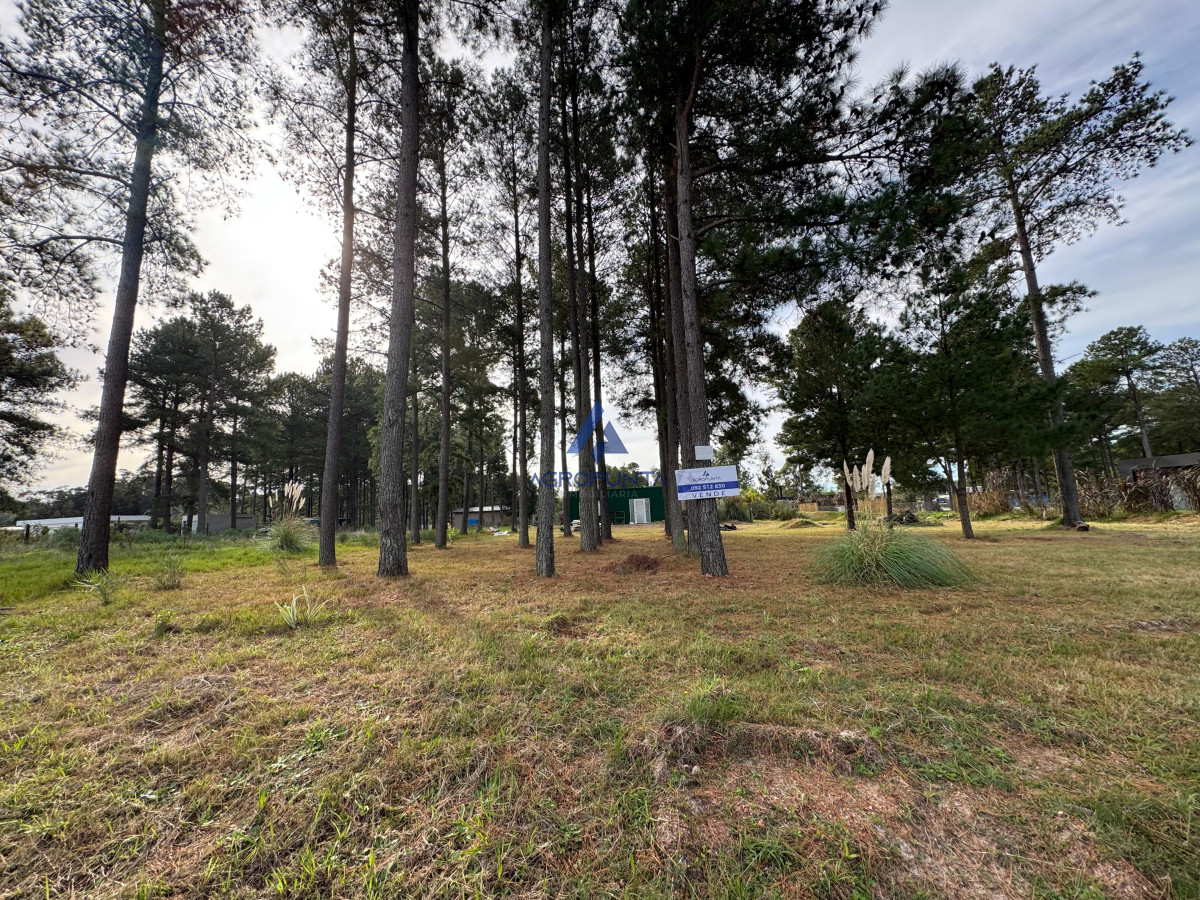 Chacras del Pinar - GoPunta - Portal Inmobiliario de Punta del Este - Maldonado