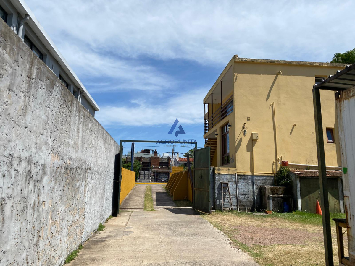 Las Delicias - GoPunta - Portal Inmobiliario de Punta del Este - Maldonado
