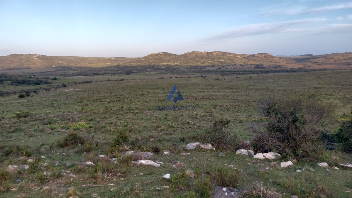 CHACRA A 50 km de Punta del Este