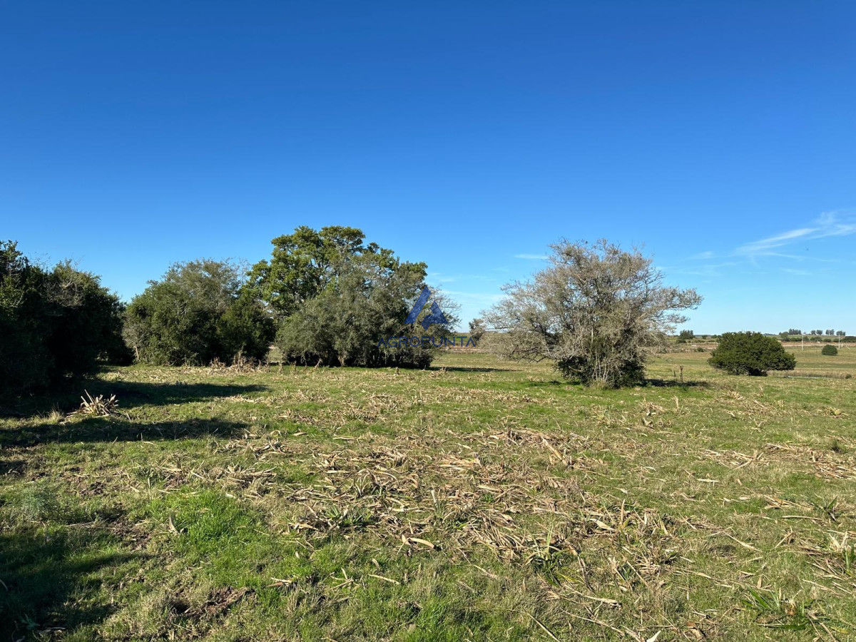 Pueblo Eden - GoPunta - Portal Inmobiliario de Punta del Este - Maldonado