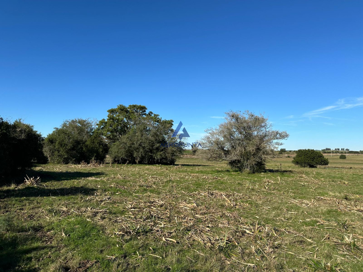 Pueblo Eden - GoPunta - Portal Inmobiliario de Punta del Este - Maldonado