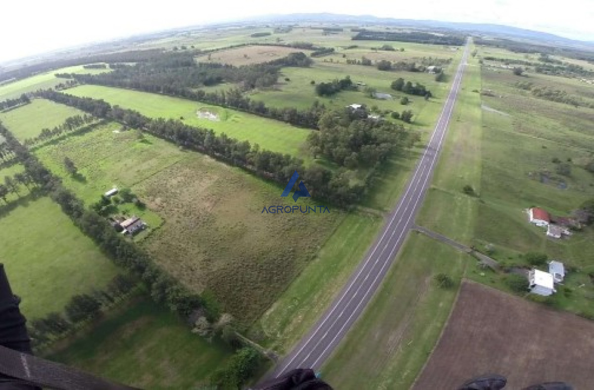 Piedras de Afilar - GoPunta - Portal Inmobiliario de Punta del Este - Maldonado