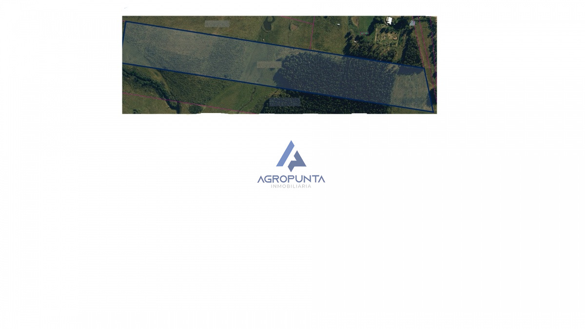 Ruta 104 - GoPunta - Portal Inmobiliario de Punta del Este - Maldonado