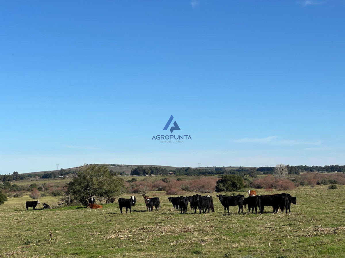 Pueblo Eden - GoPunta - Portal Inmobiliario de Punta del Este - Maldonado