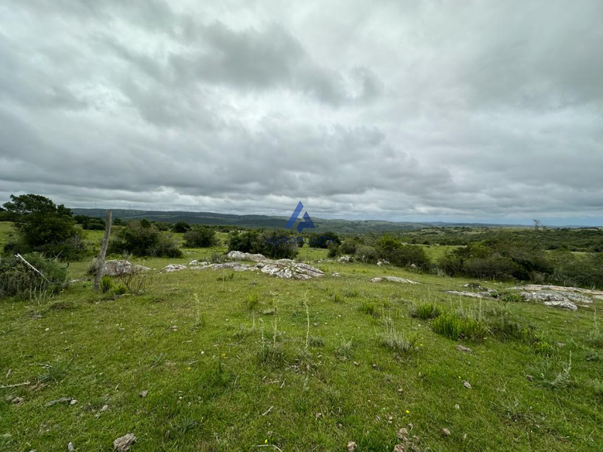 Maldonado - GoPunta - Portal Inmobiliario de Punta del Este - Maldonado